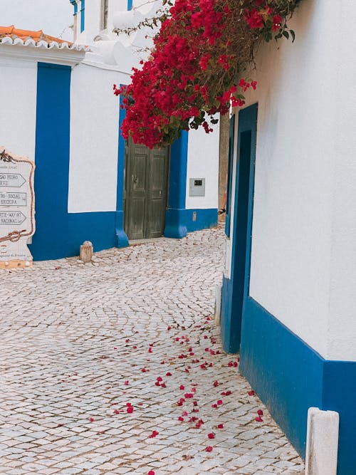 A cobblestone street with red flowers on it