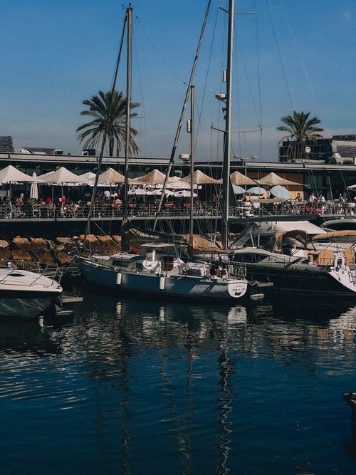 Free Sailboats moored at a vibrant marina with palm trees and bustling outdoor cafes. Stock Photo