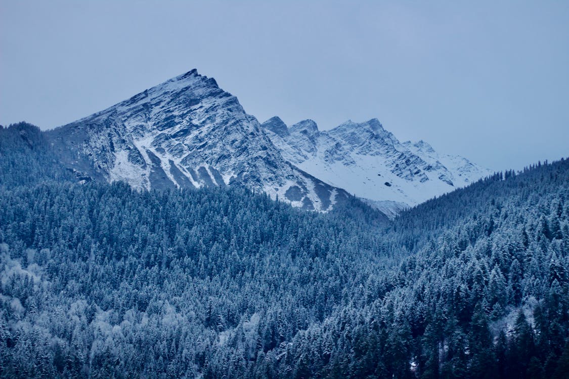 Základová fotografie zdarma na téma hory, krajina, les