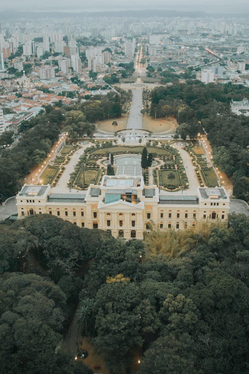 Imagine de stoc gratuită din arbori, Brazilia, călătorie