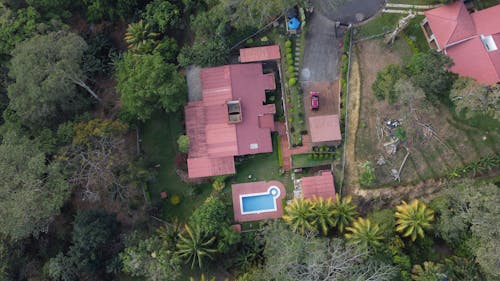 House with Forest in Forest