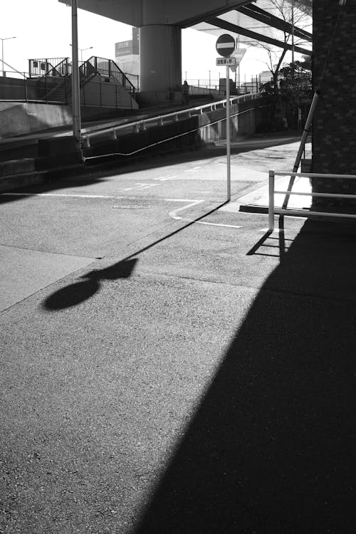 Immagine gratuita di bianco e nero, illuminata dal sole, ombra