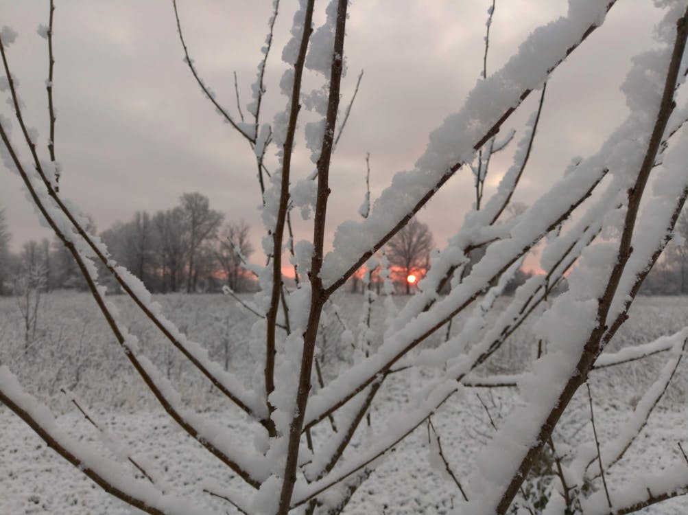 Free stock photo of snow, sunrise