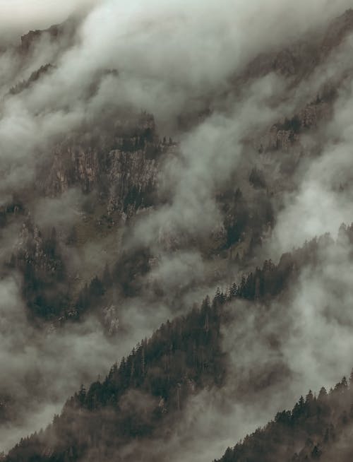 丘陵, 垂直拍攝, 天性 的 免費圖庫相片