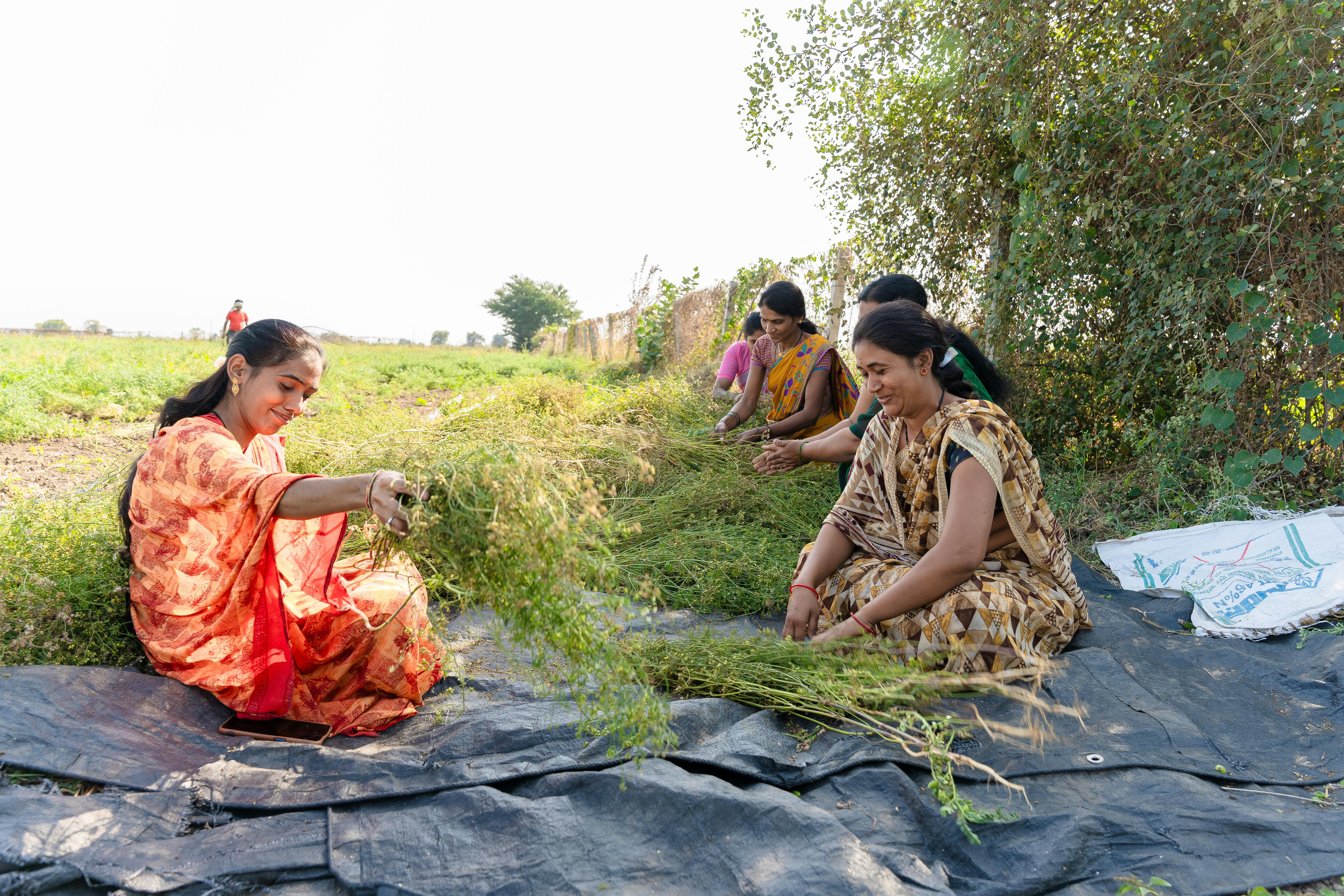 From Tragedy to Resilience: Women Farmers in Ghana Turn to Agroecology to Confront Climate Change — Photo by EqualStock IN on