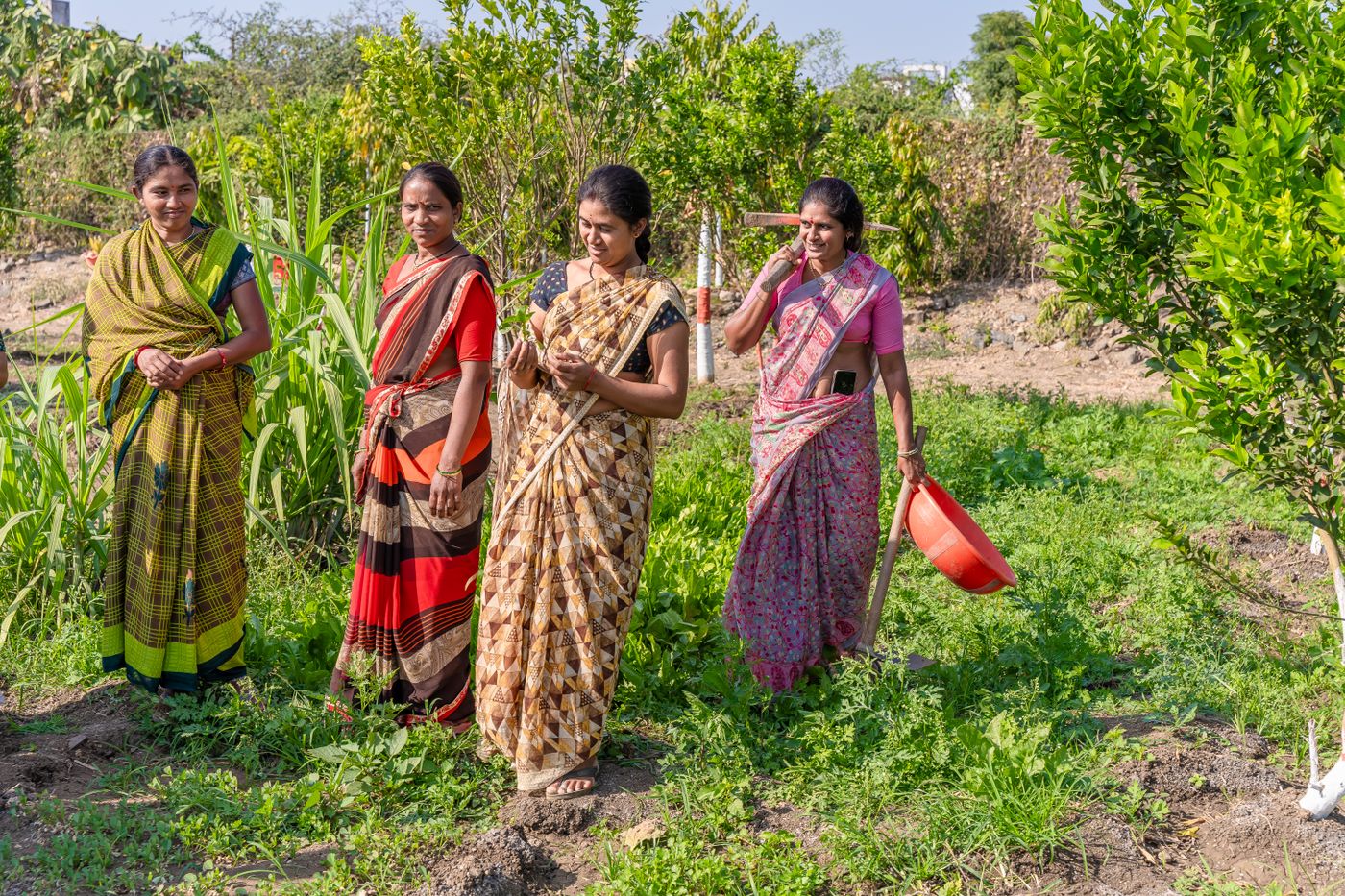 Indian women farmers working together in a green field