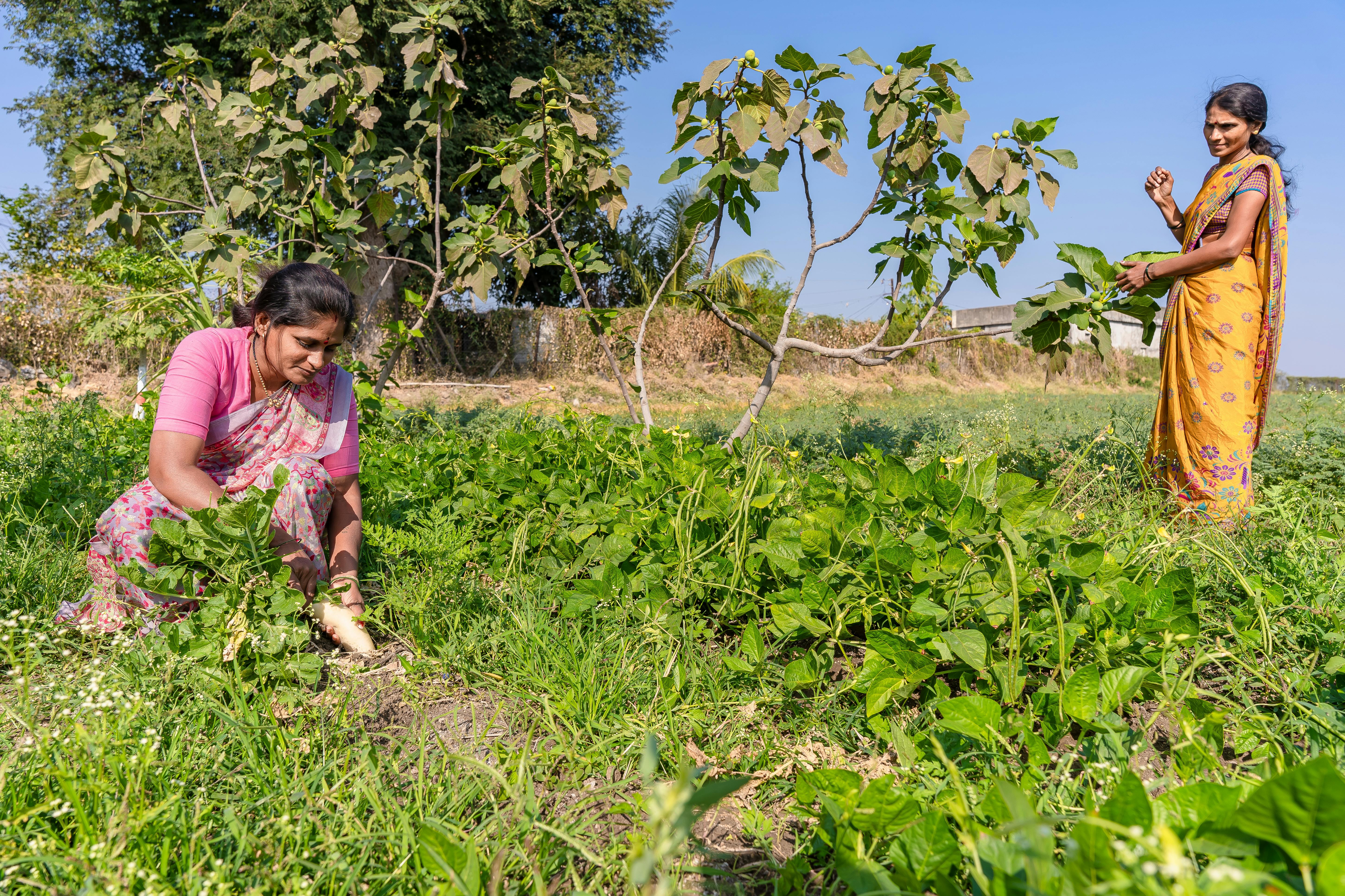 Free women's health camps to be held at 85 locations in Pune under 'Jan Sehat Setu' on May 9 — Photo by EqualStock IN on Pexe