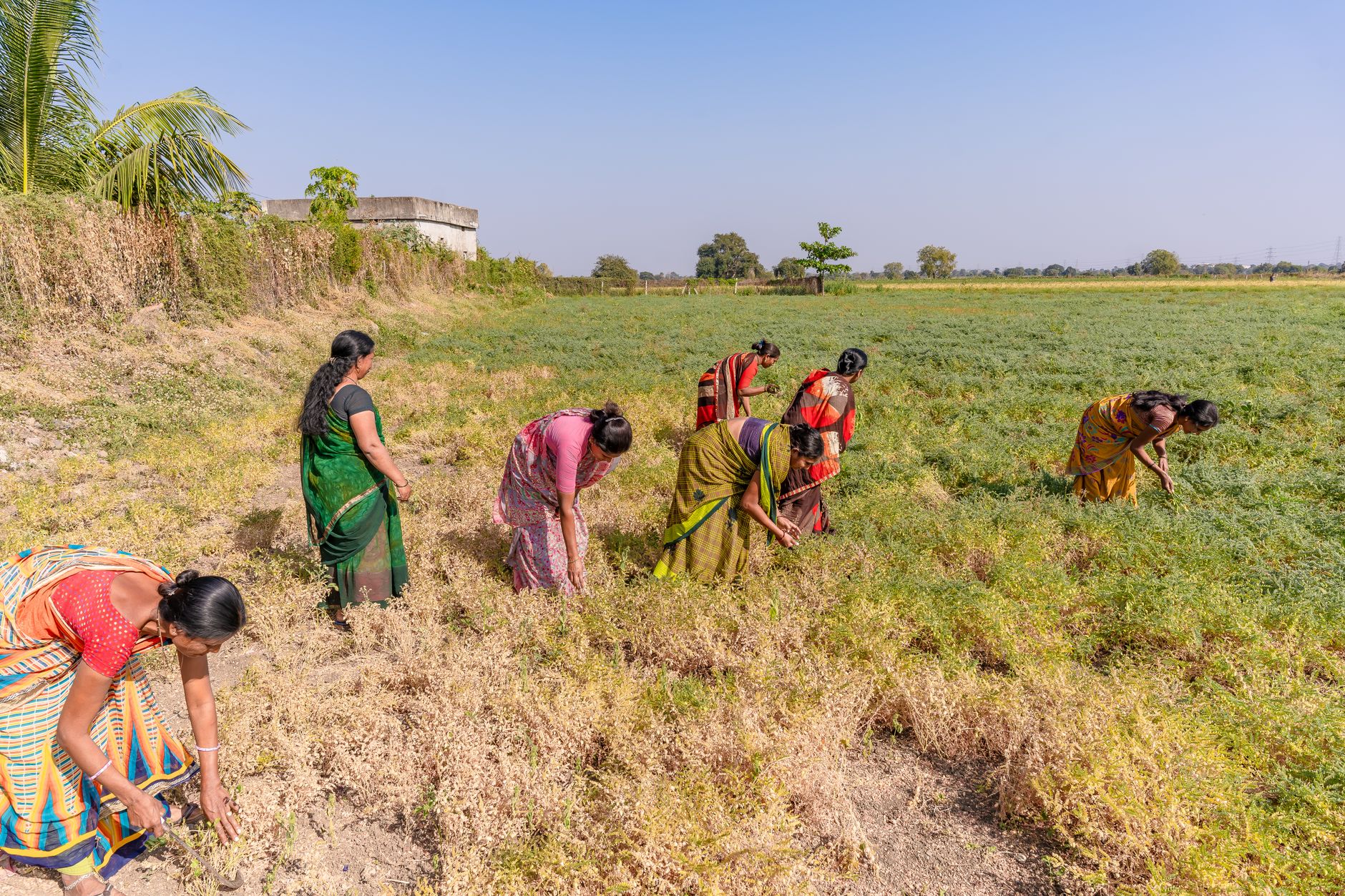 Building Healthier Communities: Our Approach to Awareness Camps in Delhi