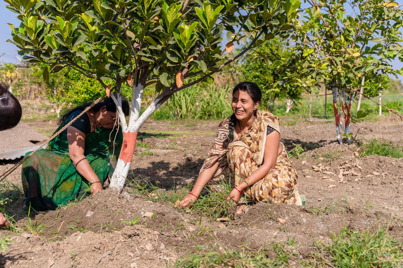 Farmers working together in agriculture