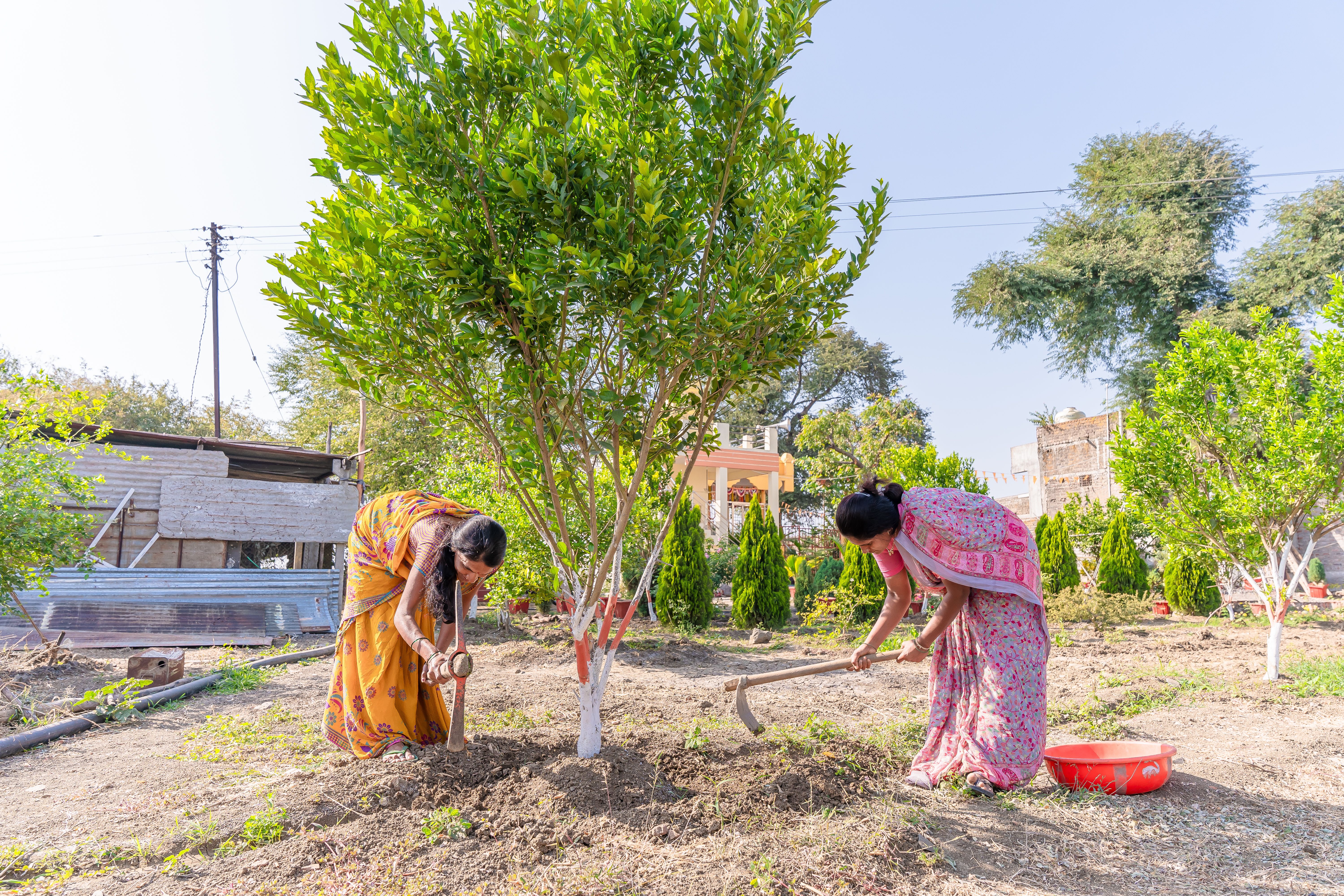 Women Driving Climate Resilience — Photo by EqualStock IN on Pexels