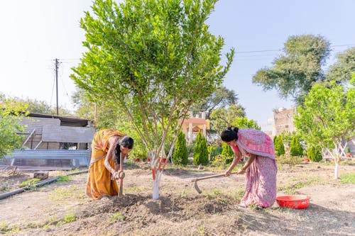 Farmers  in  India 