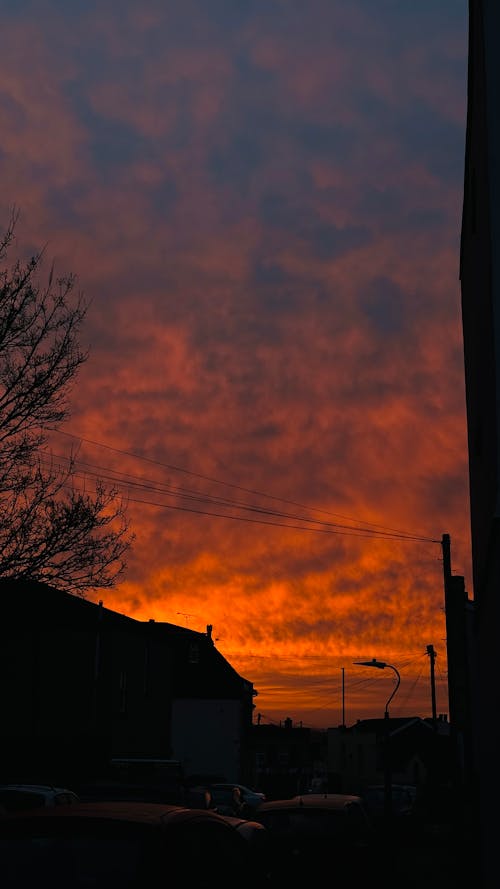 Ilmainen kuvapankkikuva tunnisteilla auringonnousu, bishopston, englanti