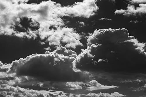 Imagine de stoc gratuită din alb-negru, cer, dens