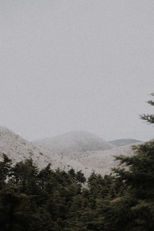 A photo of a mountain range with trees