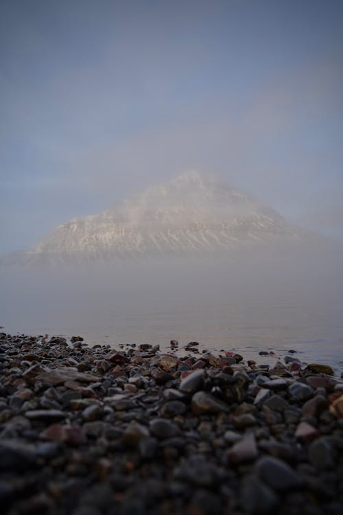 Free stock photo of beach, birds, black sand beach