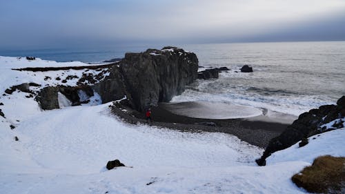 Free stock photo of beach, birds, black sand beach