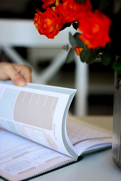 Close-up of a Woman Looking Through a Book