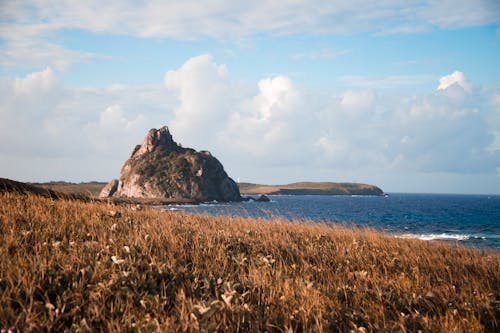 Grassland and Rocky Hill on Sea Coast