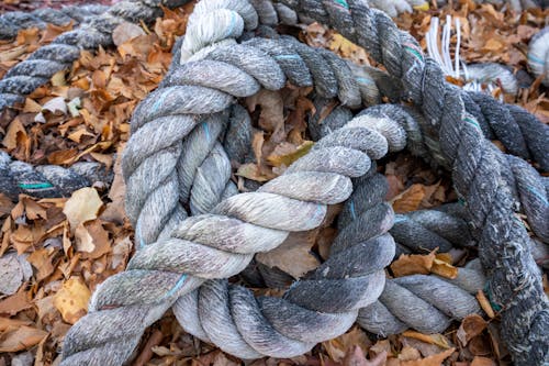 A pile of rope on the ground with leaves
