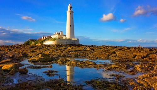 Free A stunning view of St Mary's Lighthouse with rocky shores and blue sky. Stock Photo