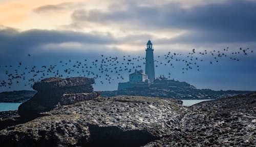 A lighthouse with birds flying over it