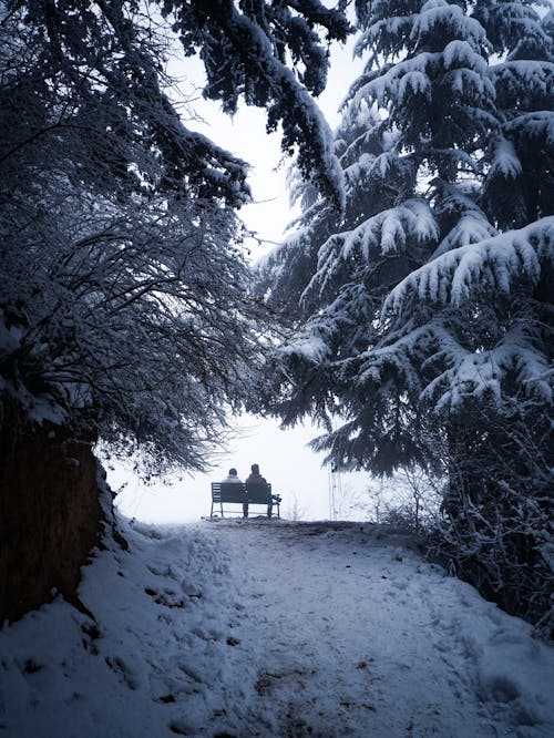 Las Maravillas De Invierno 