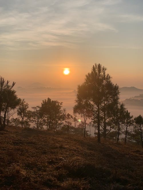 Scenic View of Trees and Mountains at Sunset 