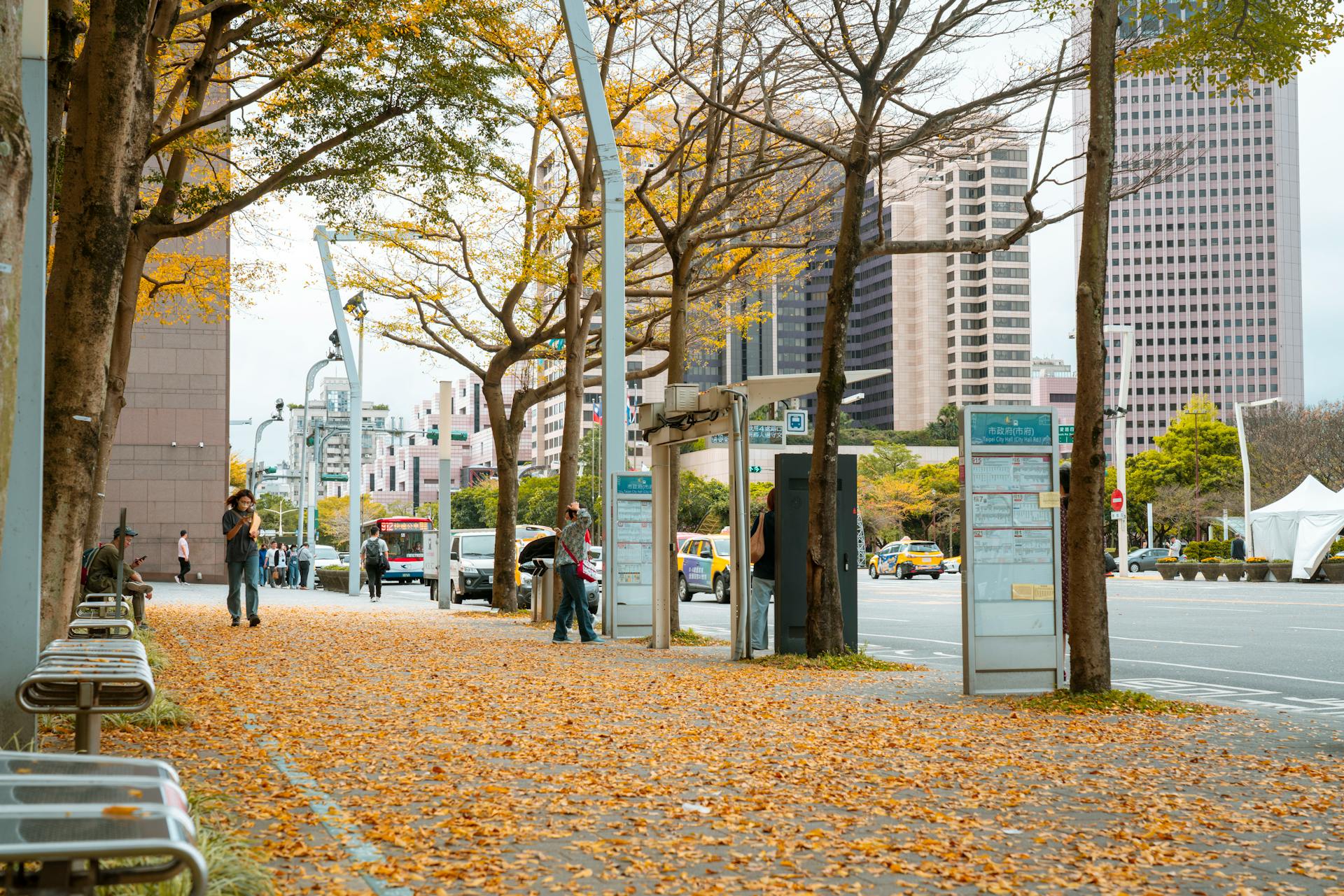 Urban city street in autumn with fallen golden leaves and modern buildings.