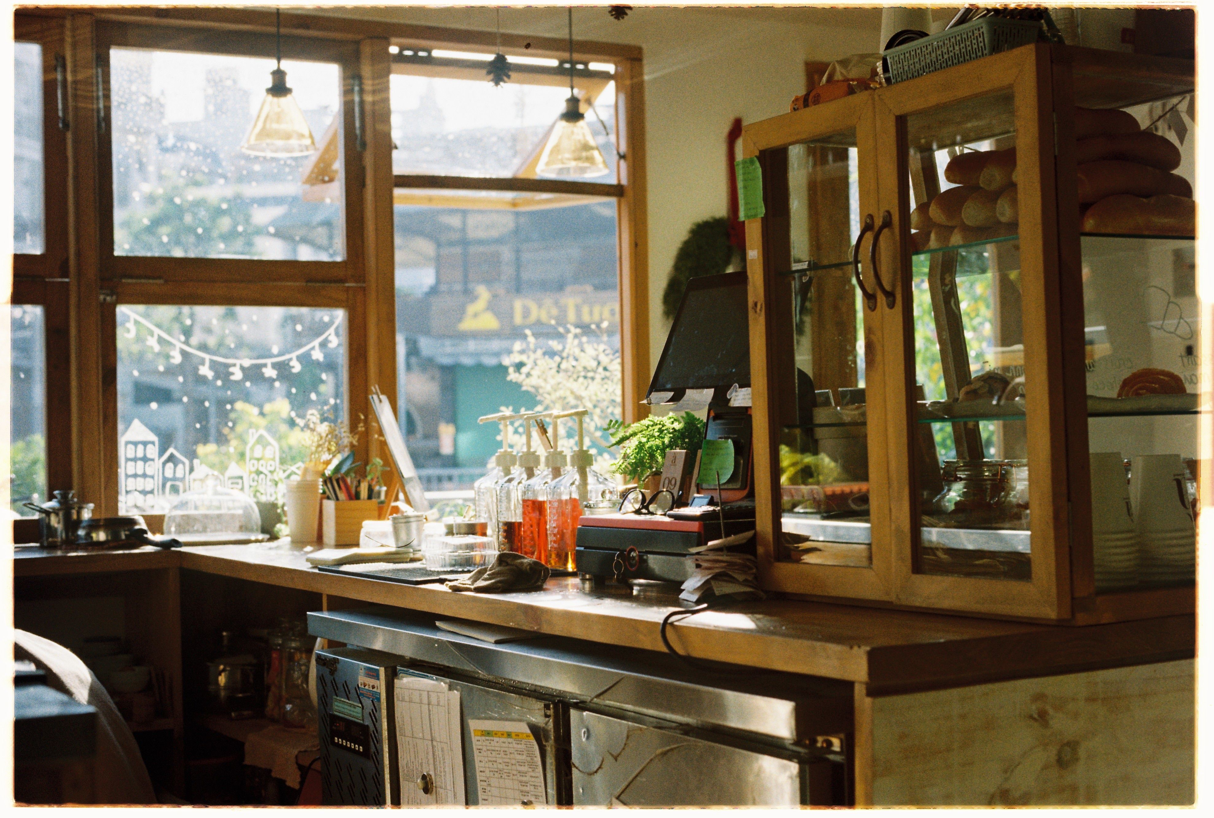 Soft afternoon light through a third-floor Euljiro cafe window, with trailing plants over a low wooden counter