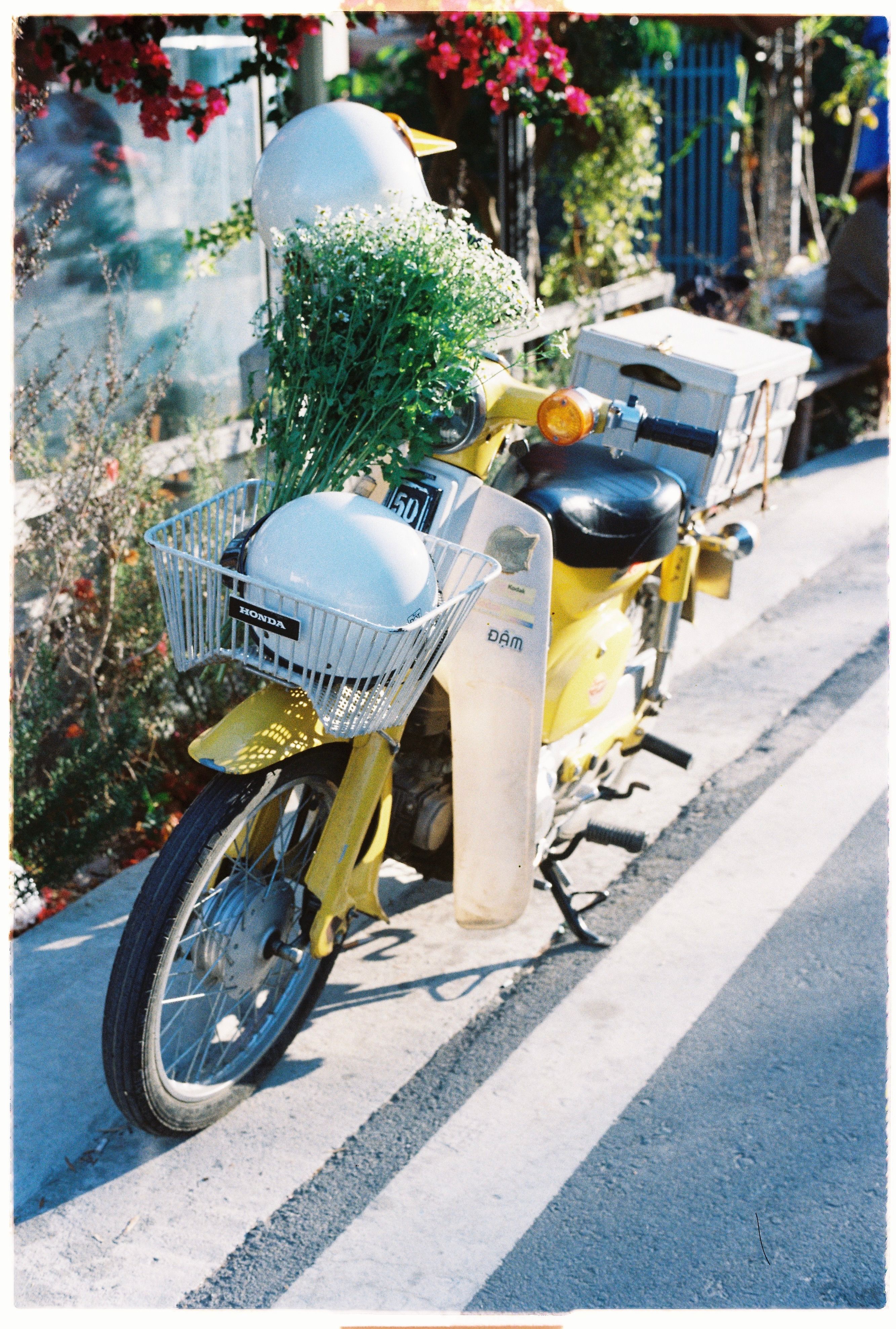 A yellow scooter parked on a sunny roadside with flowers in the front basket.