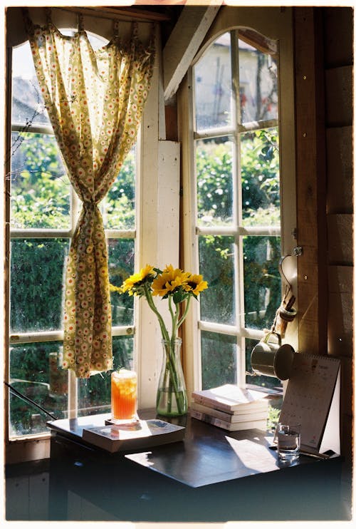 Sunflowers in Glass Vase by Windows in House