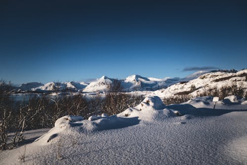 Бесплатное стоковое фото с Арктический, зима, норвегия