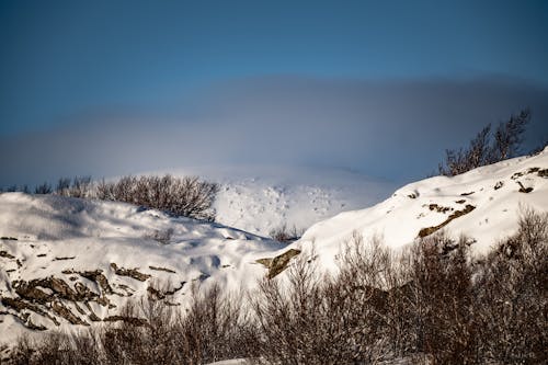Foto stok gratis awan, dingin, gunung