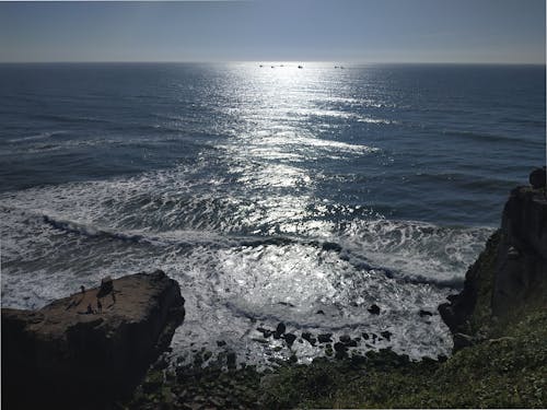 天性, 巴西, 海洋 的 免費圖庫相片