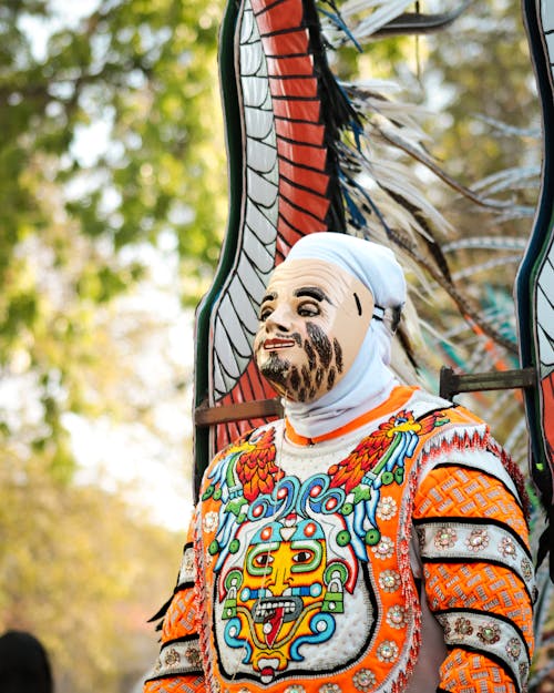 A man dressed in an elaborate costume with feathers
