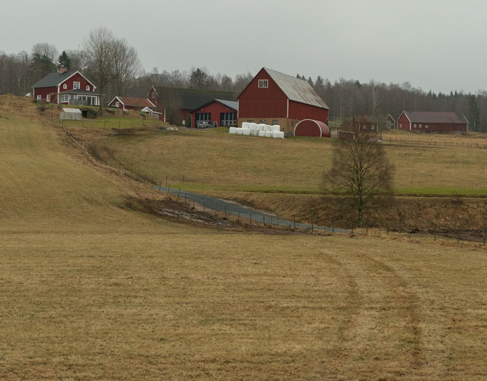 Kostnadsfri bild av bondgård, by, byar