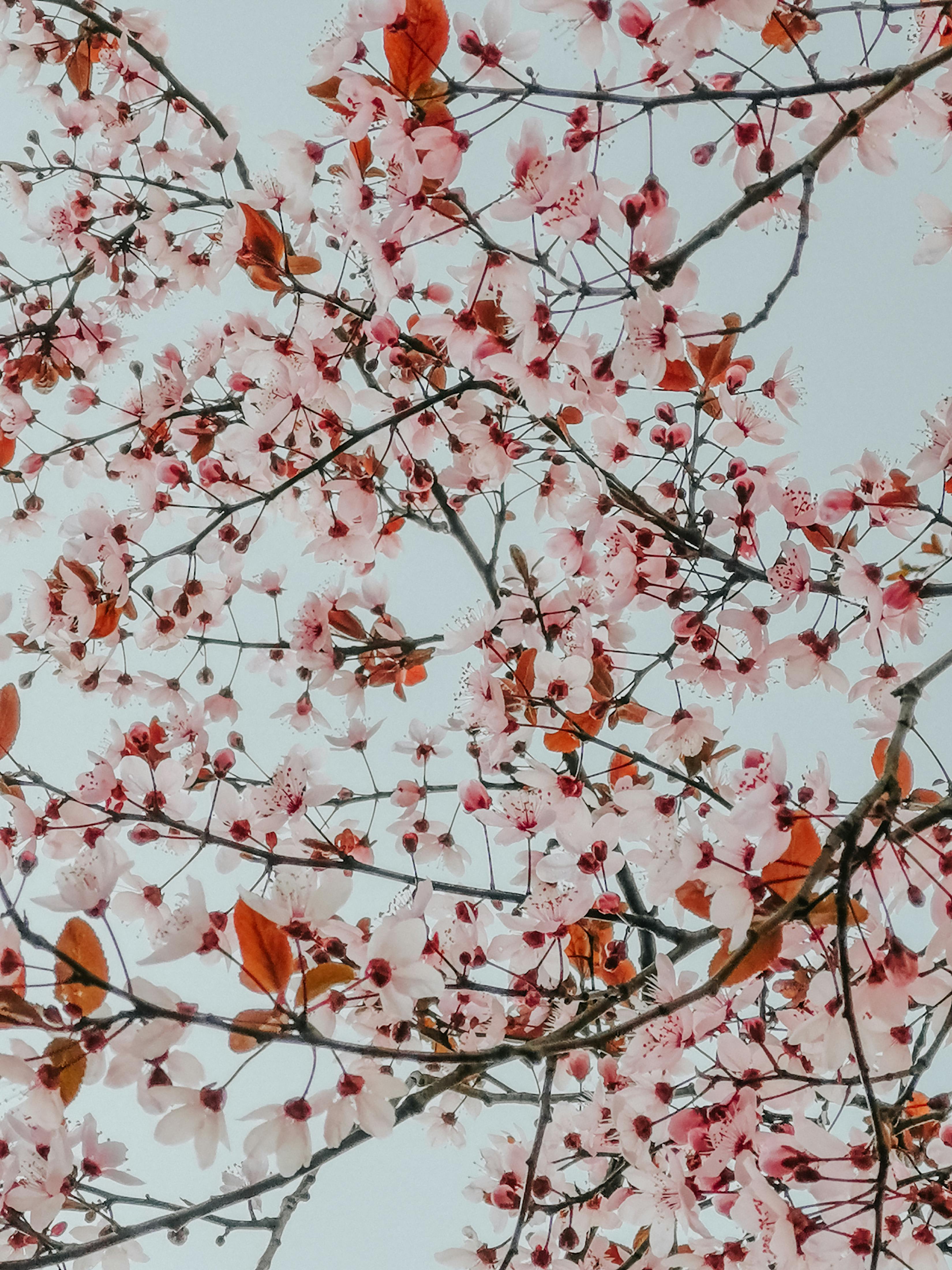 Autumn Winter Abstract Photos, Download The BEST Free Autumn Winter ...