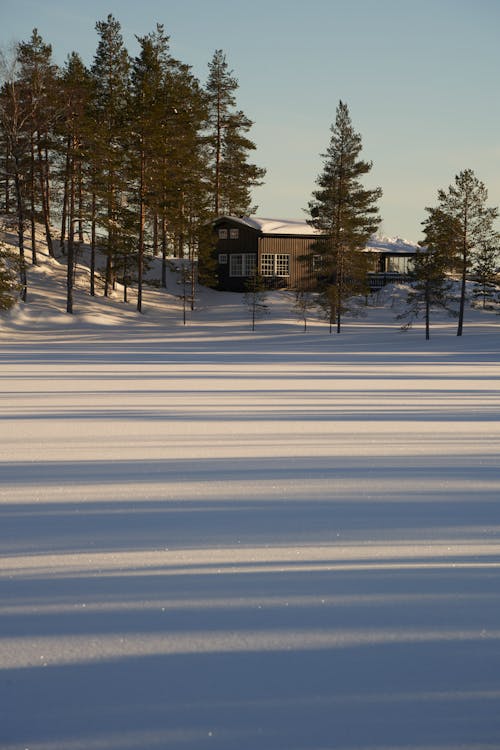 Một Cabin Bằng Gỗ Màu Nâu Sẫm Nằm Tách Biệt Trong Khu Rừng Na Uy. Một Hồ Nước đóng Băng Trải Dài Trước Mặt, Khắc Những Sọc Bóng ấn Tượng Trên Tuyết
