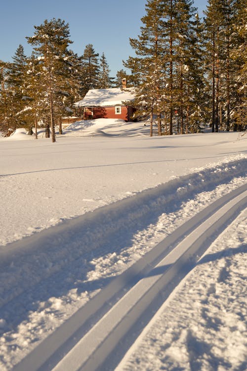 A charming red cabin nestles among snow-laden trees in the Norwegian woods, fresh ski tracks leading to its doorstep