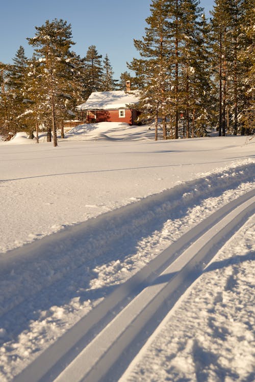 Immagine gratuita di alberi, campagna, casa