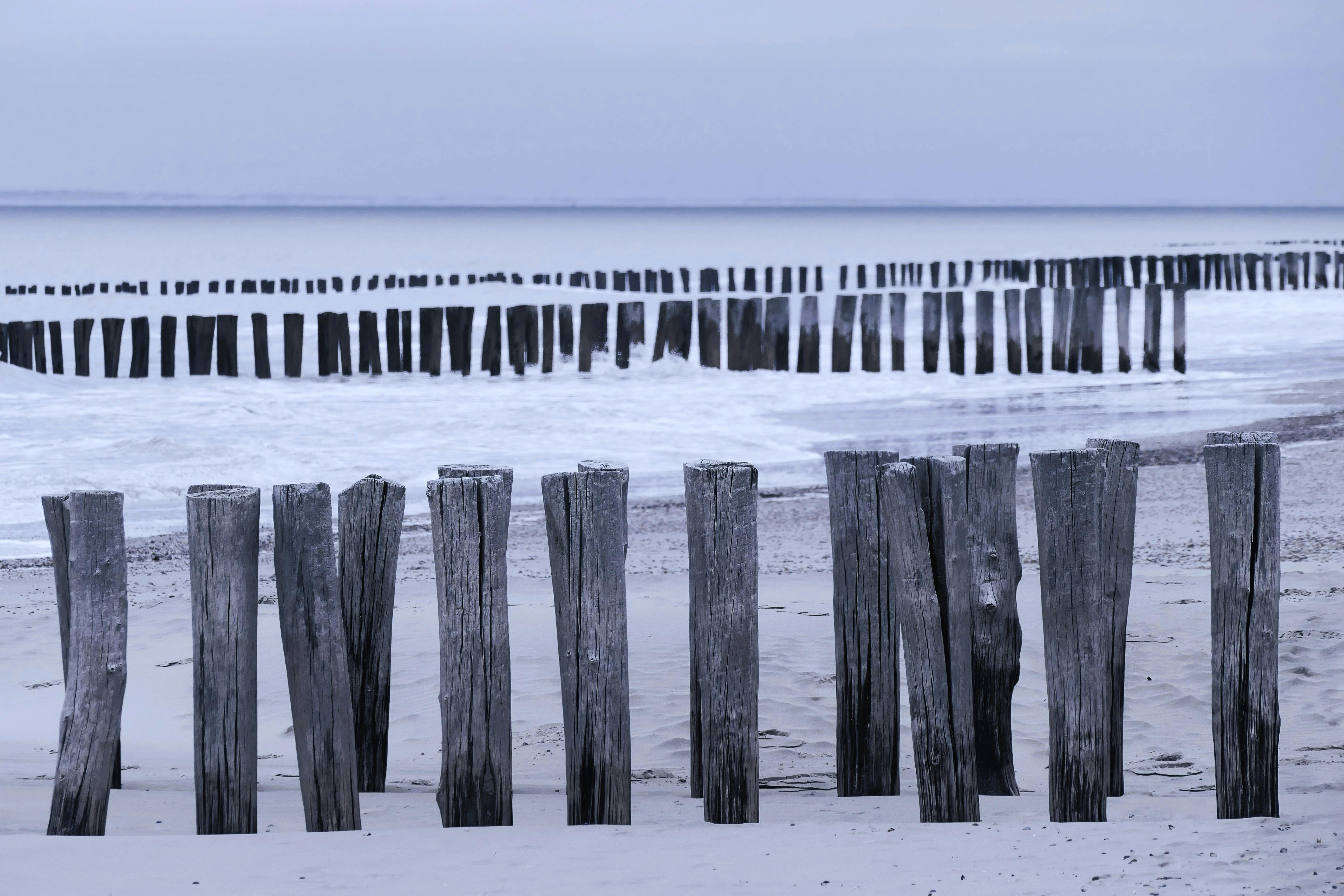 Spaziergang Hund Photos, Download The BEST Free Spaziergang Hund Stock