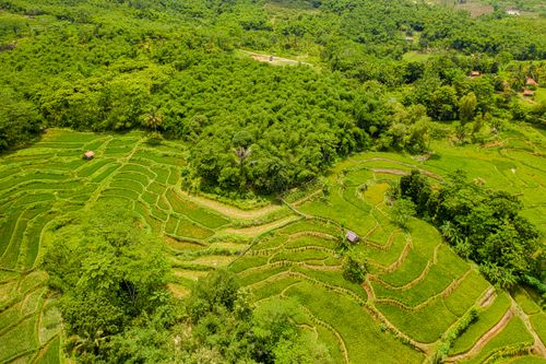 Free Stunning aerial shot capturing the lush green rice terraces in Purwakarta, Indonesia, showcasing natural beauty. Stock Photo