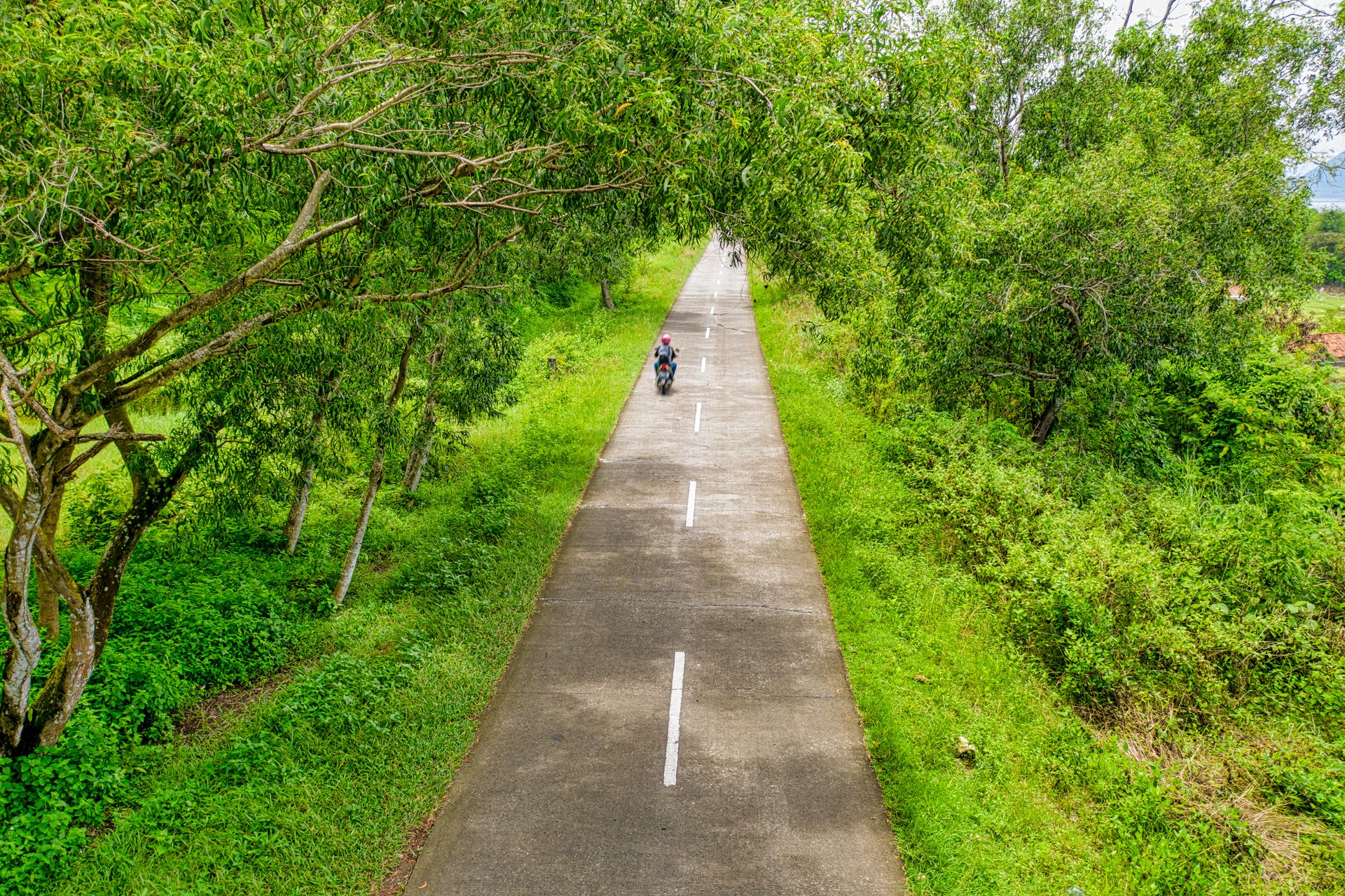 Aerial shot of a motorcyclist riding along a tree-lined road in Purwakarta.