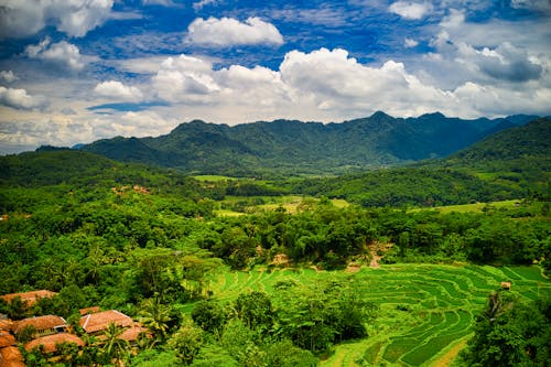 Foto Aérea De Terras Agrícolas