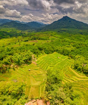 Lush green rice terraces in Purwakarta, Indonesia, under a dramatic sky.