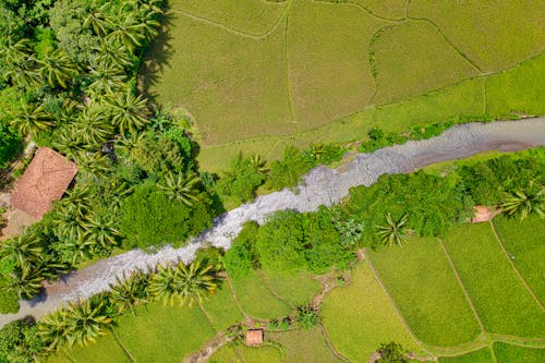 Foto De ángulo Bajo Campos De Hierba Verde