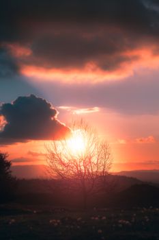 A captivating sunset behind a lone tree, casting warm hues across the rural landscape.