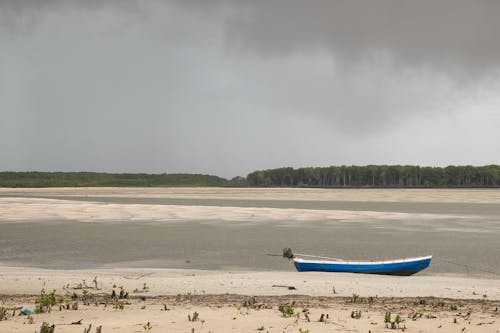 Бесплатное стоковое фото с lakeshore, каноэ, морской берег