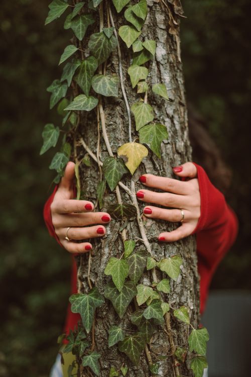 Free Close-up of hands with red nails embracing an ivy-covered tree trunk outdoors. Stock Photo
