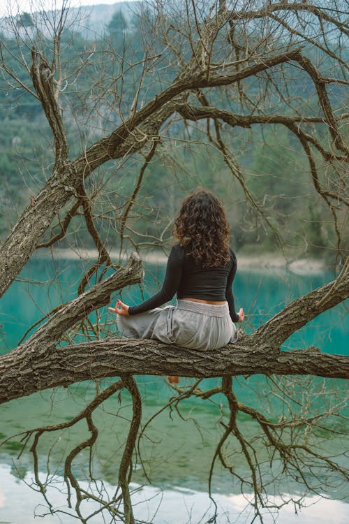 A woman sitting on a tree branch looking at the water